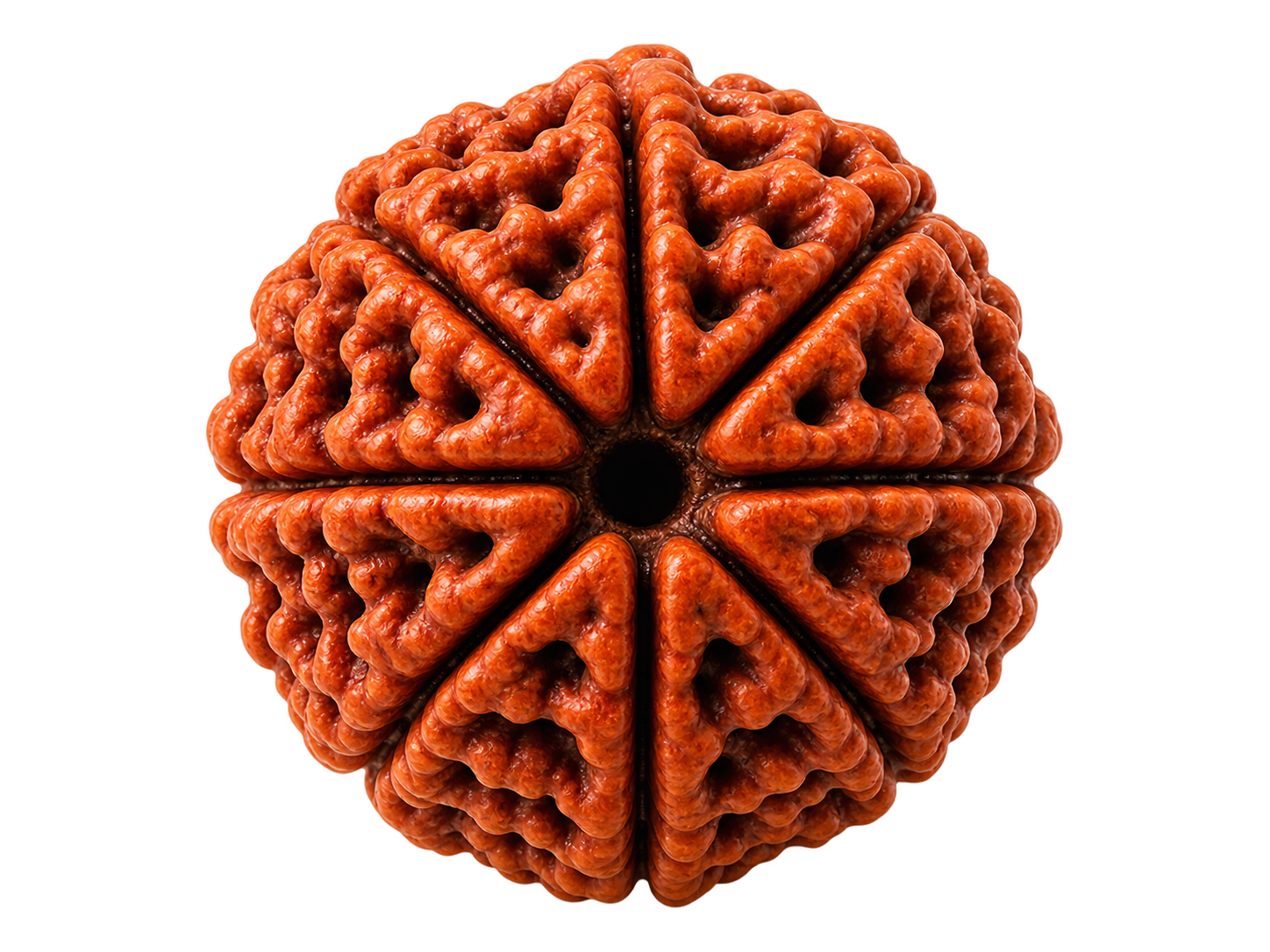 Rudraksh Mala