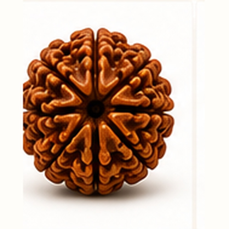 4 Mukhi Rudraksha